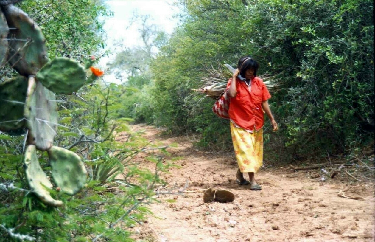 María Panche (Wosat Poho 2001)