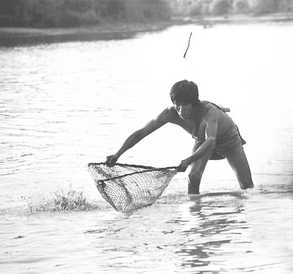 Poyo Miranda (Alpu 1991)